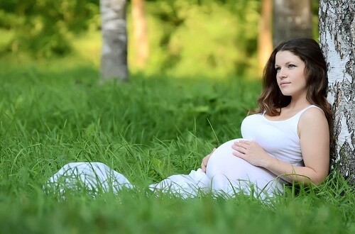 Pregnant_Women-_Activity_and_Diet